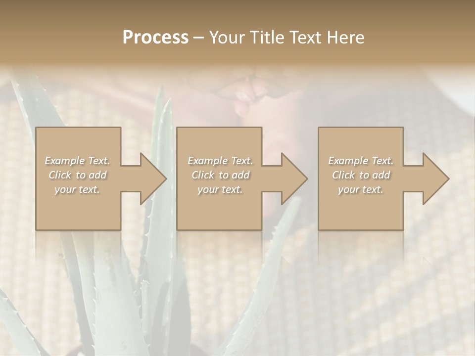 Fairground Funfairs Emotions PowerPoint Template