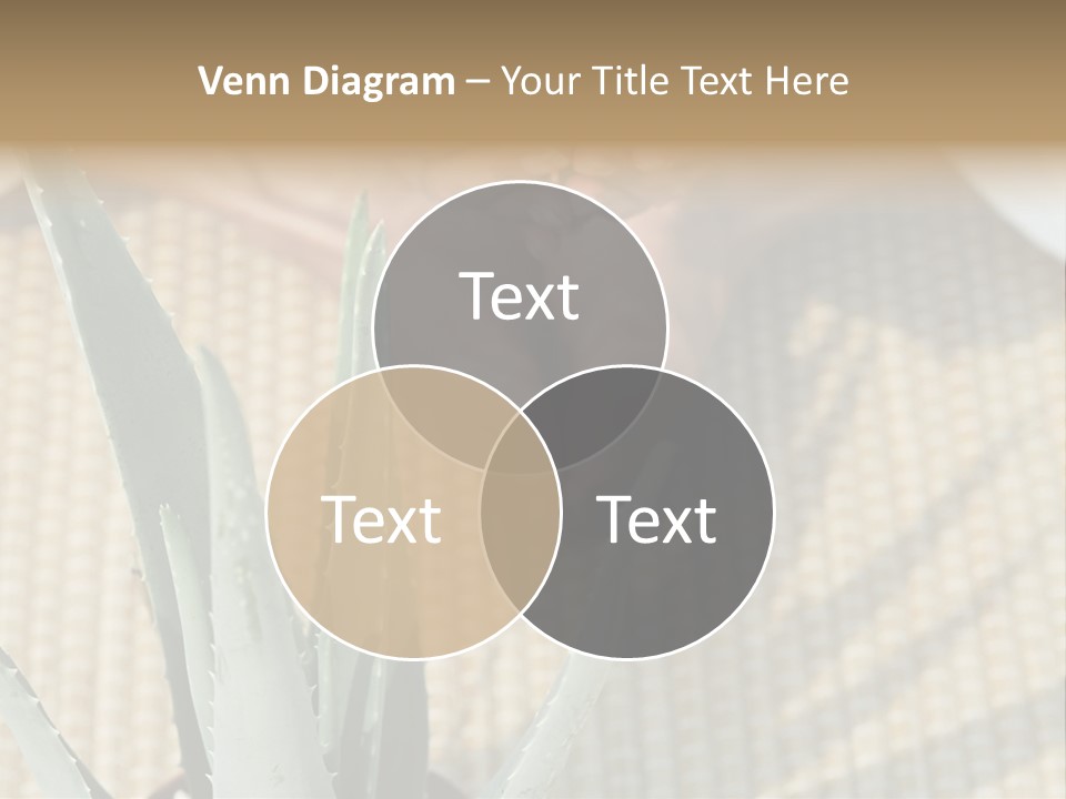 Fairground Funfairs Emotions PowerPoint Template