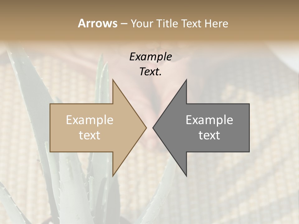 Fairground Funfairs Emotions PowerPoint Template