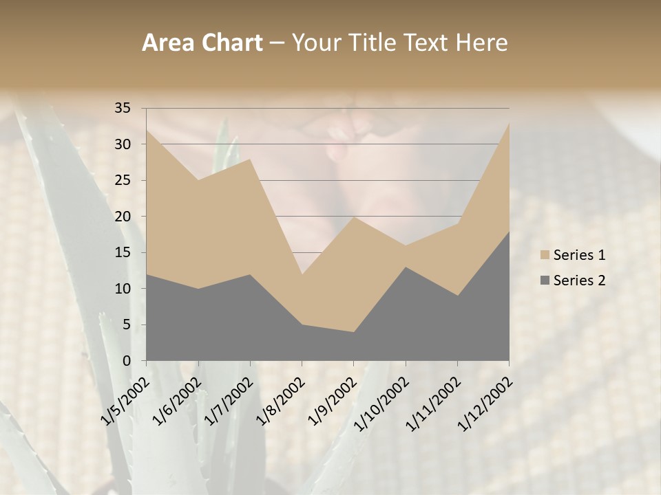 Fairground Funfairs Emotions PowerPoint Template