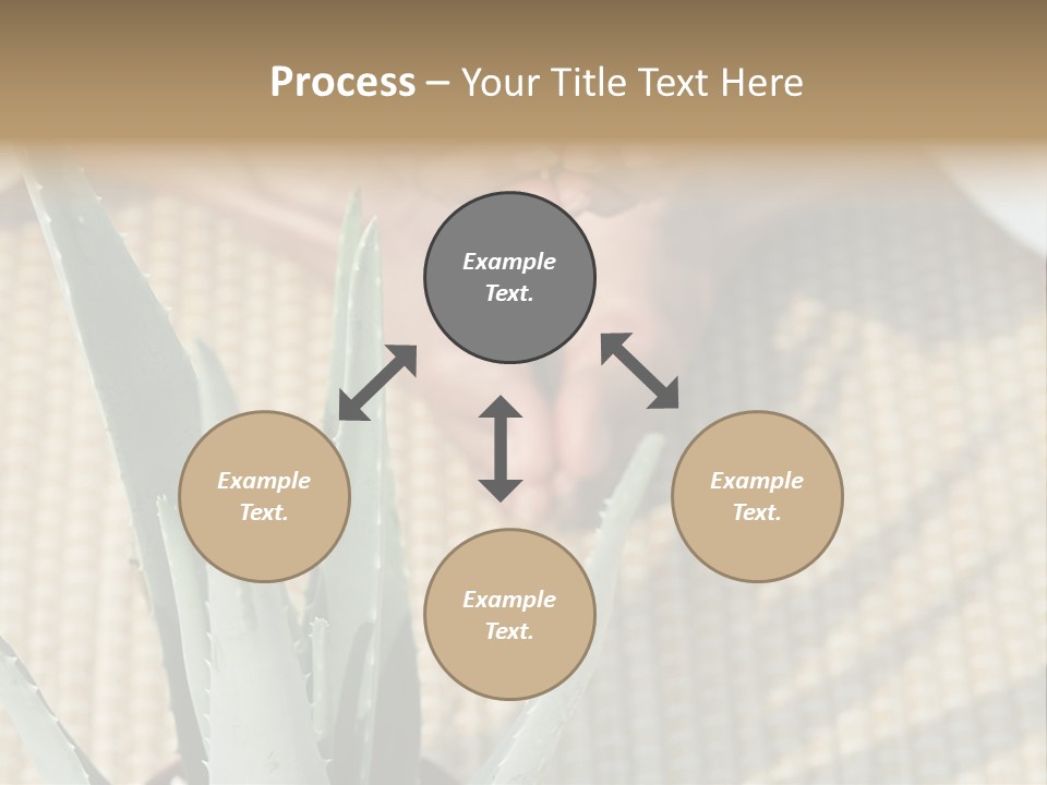 Fairground Funfairs Emotions PowerPoint Template