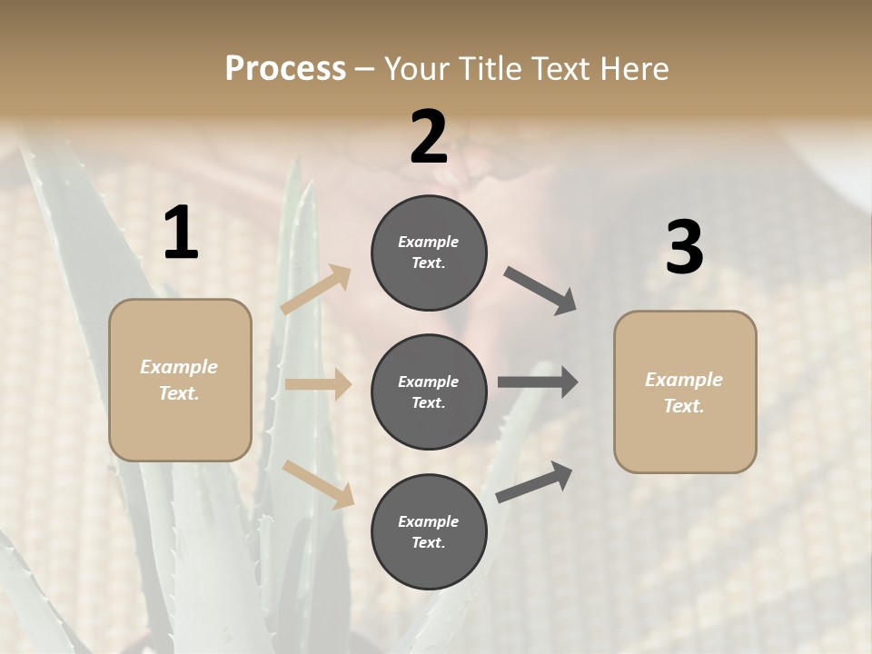 Fairground Funfairs Emotions PowerPoint Template