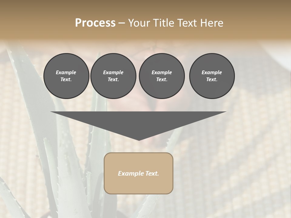 Fairground Funfairs Emotions PowerPoint Template