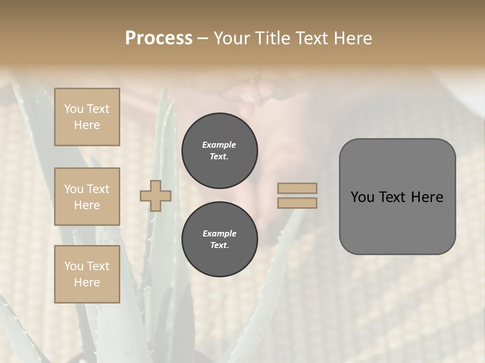Fairground Funfairs Emotions PowerPoint Template