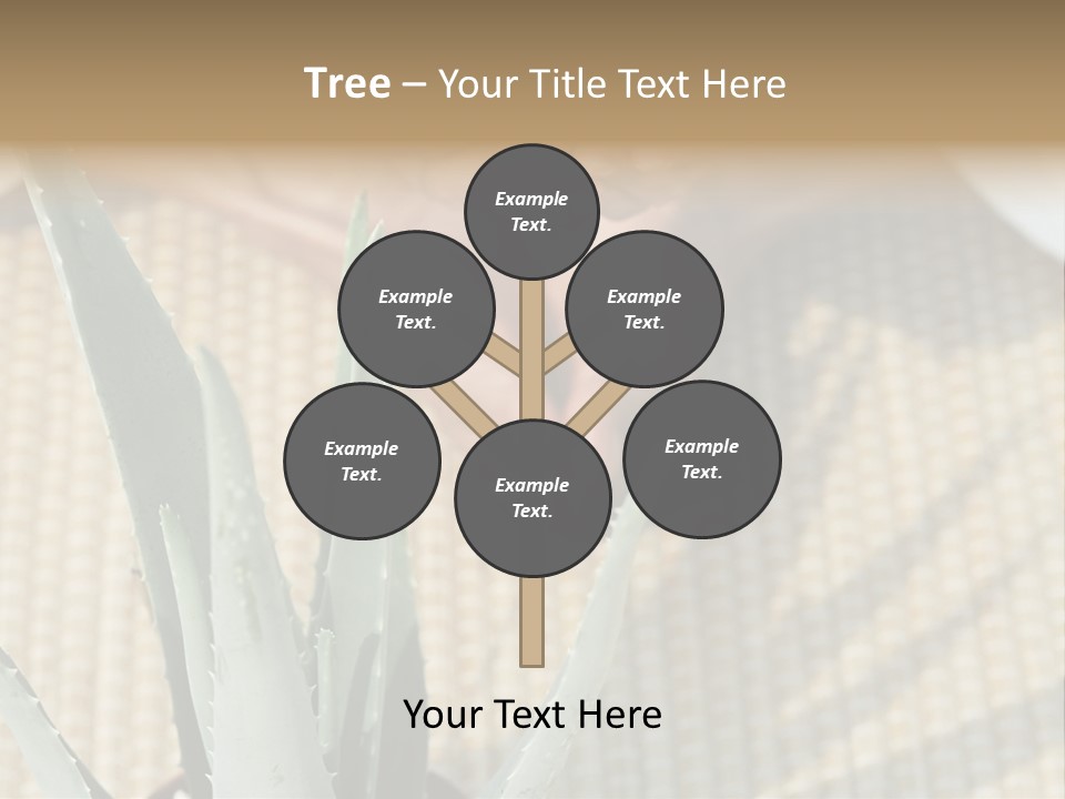 Fairground Funfairs Emotions PowerPoint Template