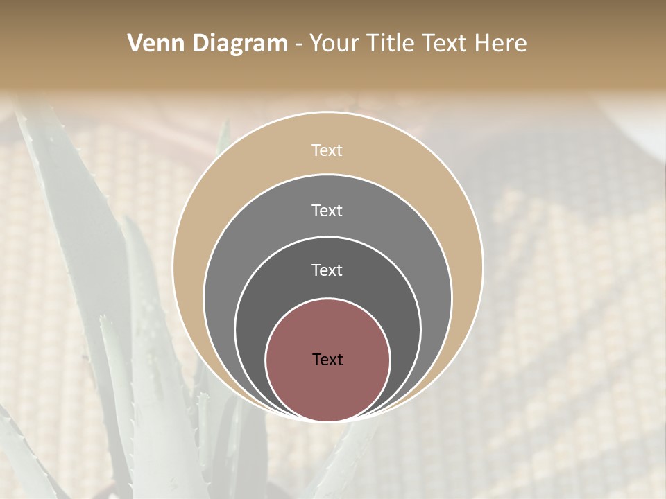 Fairground Funfairs Emotions PowerPoint Template
