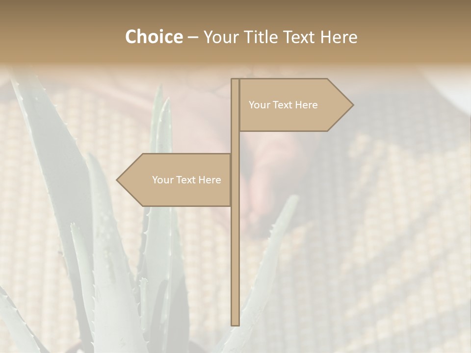 Fairground Funfairs Emotions PowerPoint Template