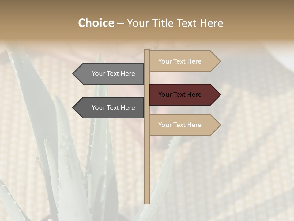 Fairground Funfairs Emotions PowerPoint Template