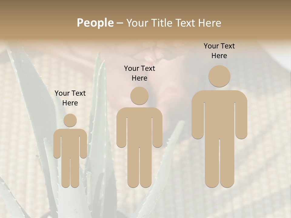 Fairground Funfairs Emotions PowerPoint Template