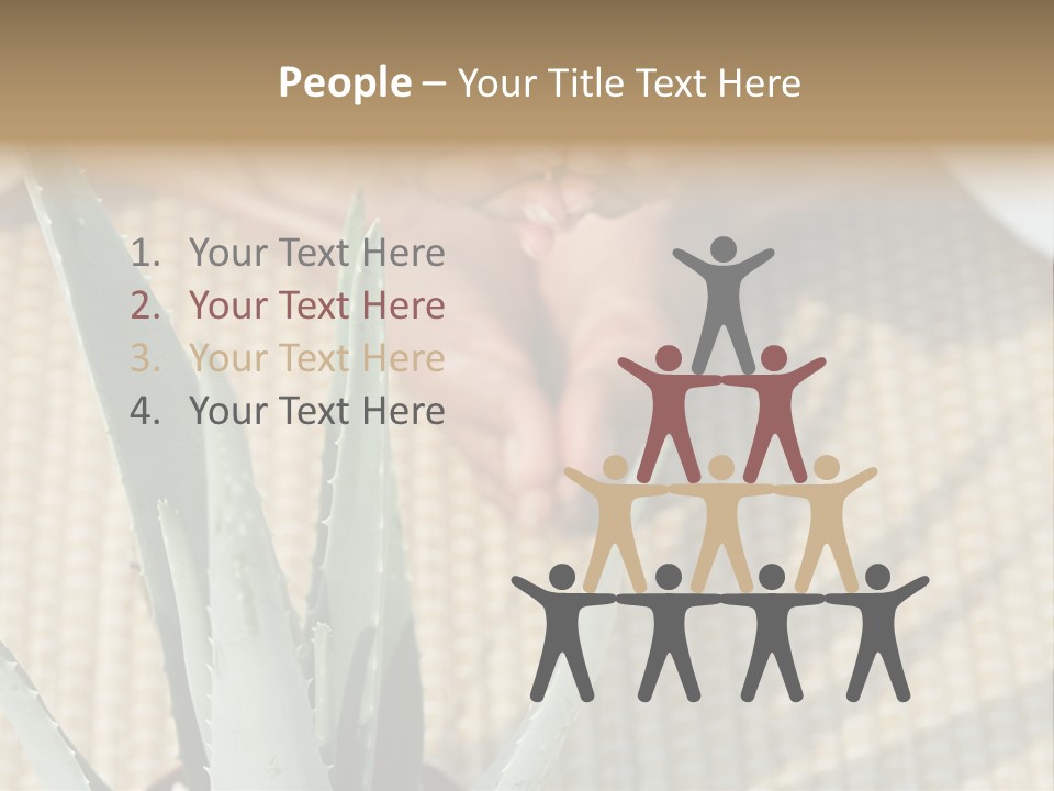 Fairground Funfairs Emotions PowerPoint Template