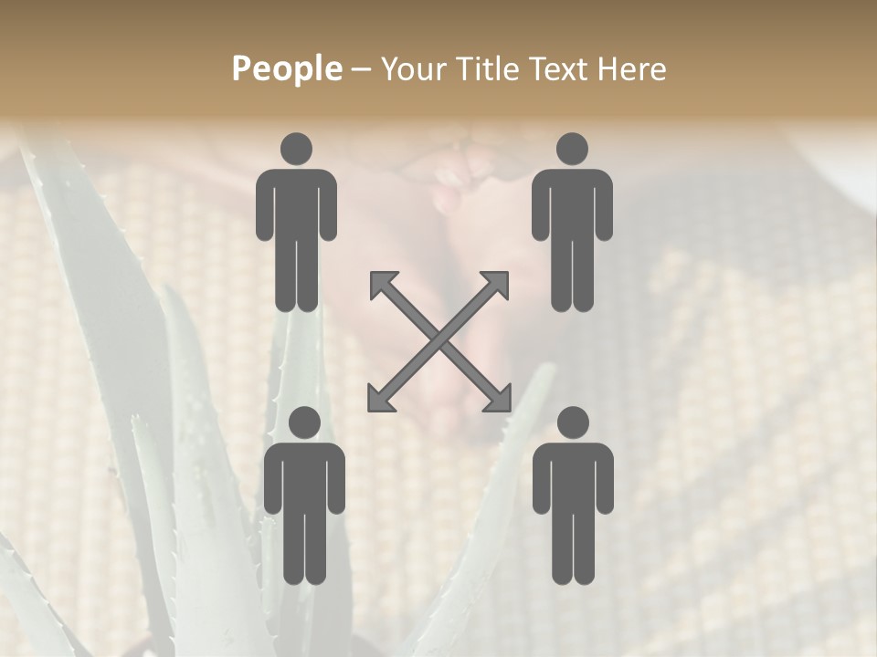 Fairground Funfairs Emotions PowerPoint Template