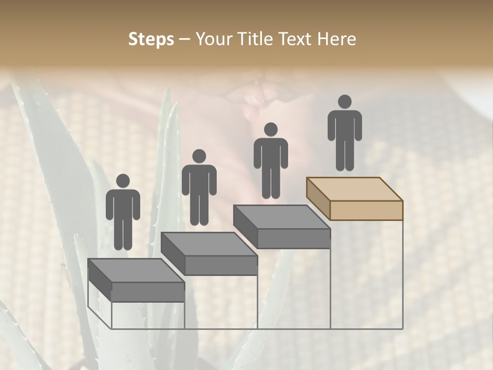 Fairground Funfairs Emotions PowerPoint Template