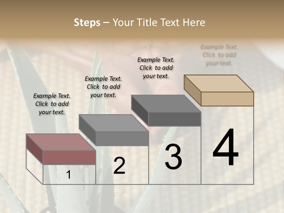 Fairground Funfairs Emotions PowerPoint Template