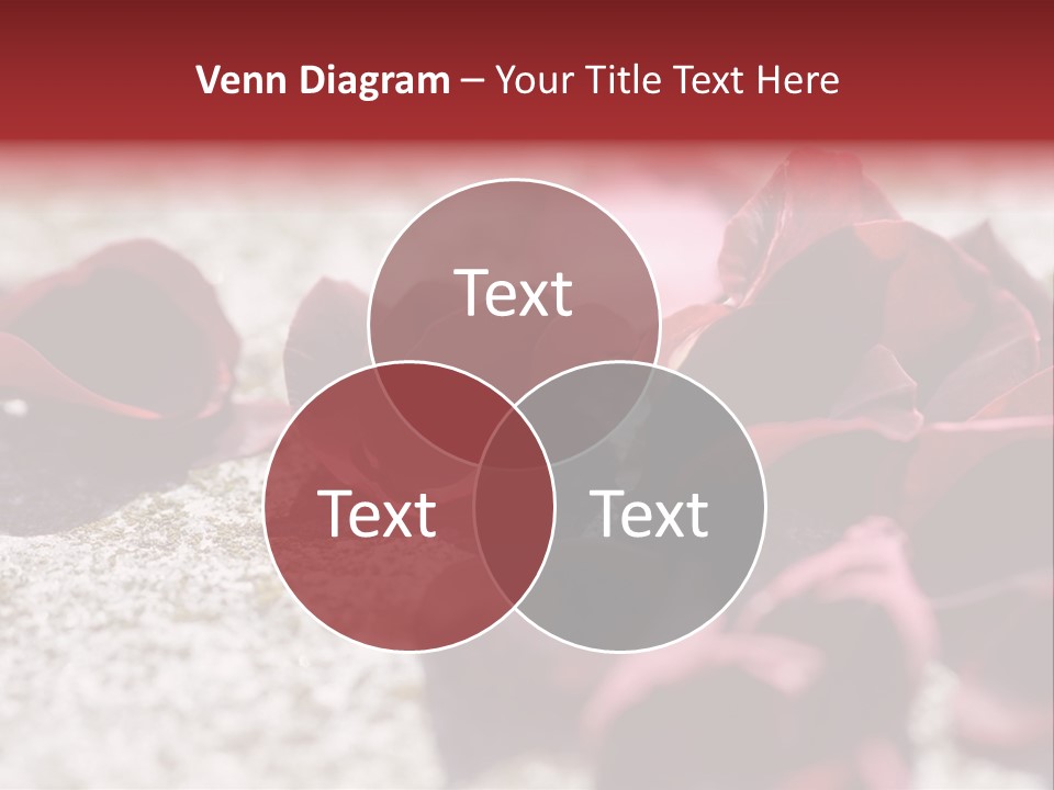 Oversized Colorful Enjoyment PowerPoint Template