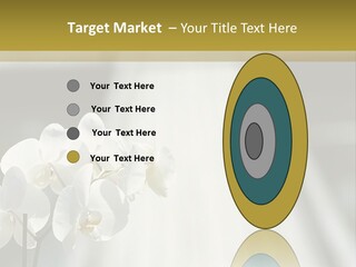 Amusement Park Rides Fun Fair Rides Lit PowerPoint Template