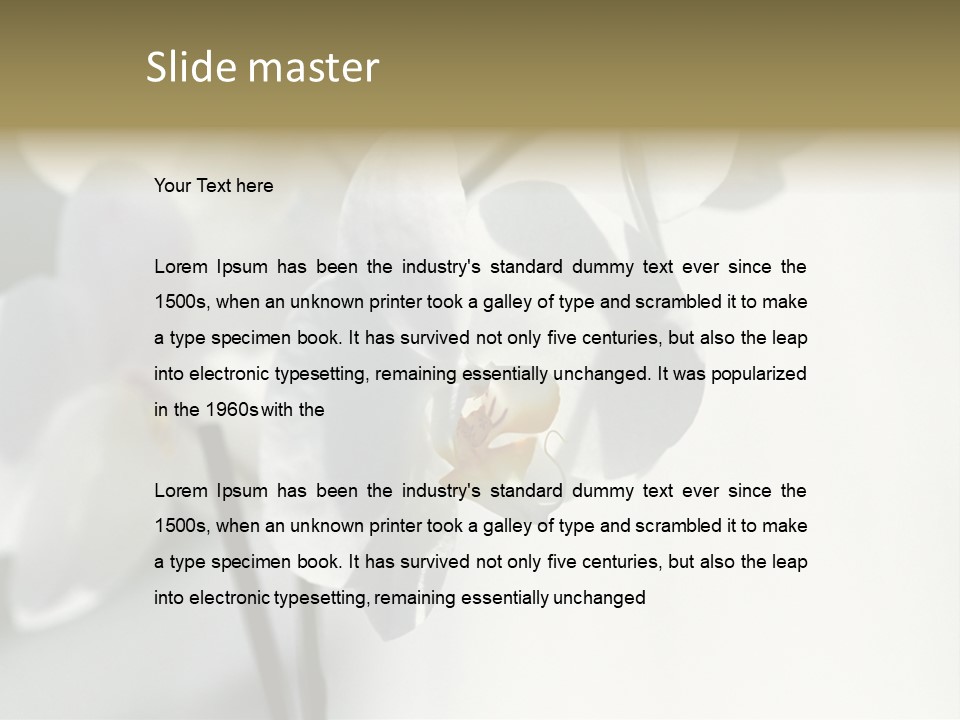 Fairgrounds Fairground Ride Size PowerPoint Template