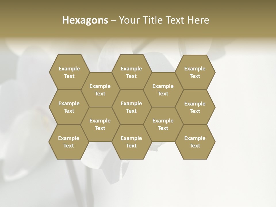 Fairgrounds Fairground Ride Size PowerPoint Template