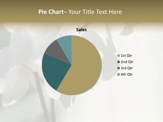 Fairgrounds Fairground Ride Size PowerPoint Template