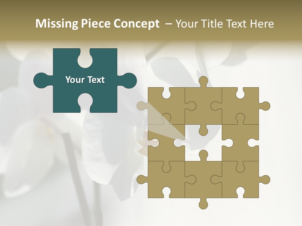 Fairgrounds Fairground Ride Size PowerPoint Template