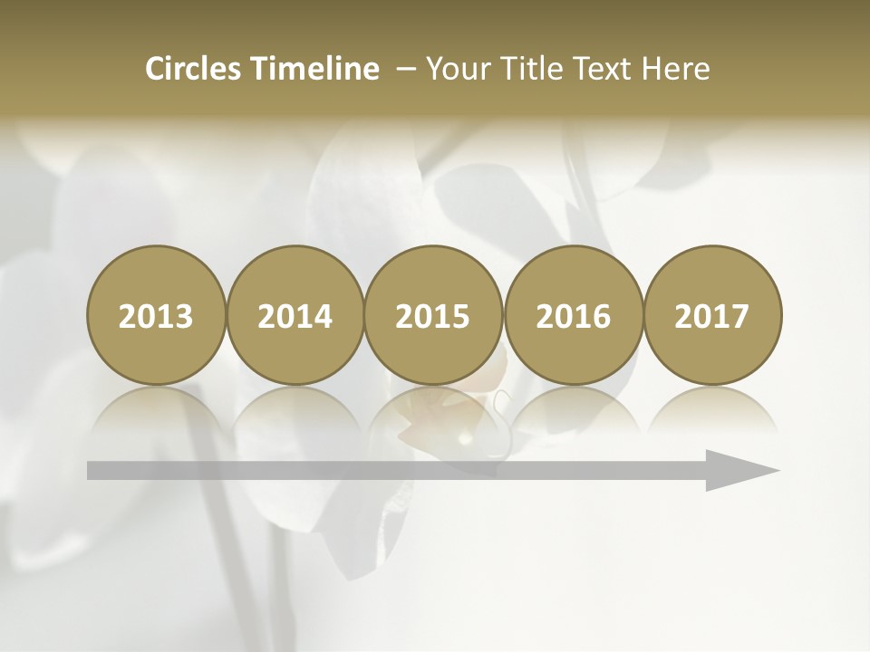 Fairgrounds Fairground Ride Size PowerPoint Template