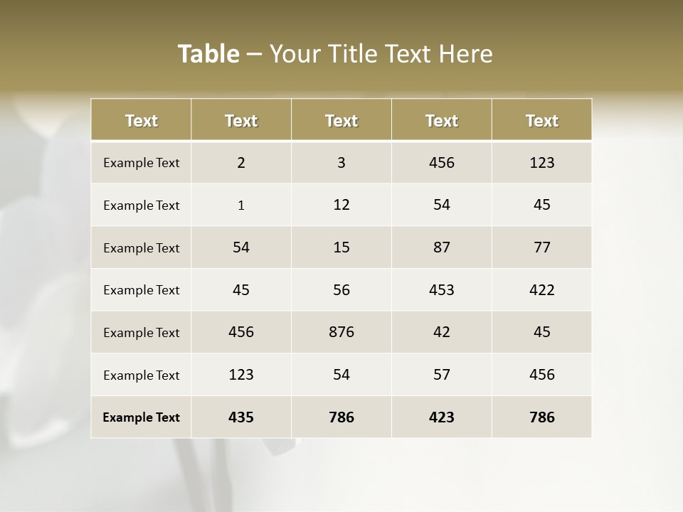 Fairgrounds Fairground Ride Size PowerPoint Template