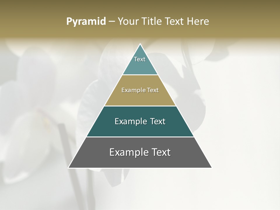 Fairgrounds Fairground Ride Size PowerPoint Template