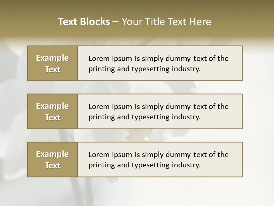 Fairgrounds Fairground Ride Size PowerPoint Template