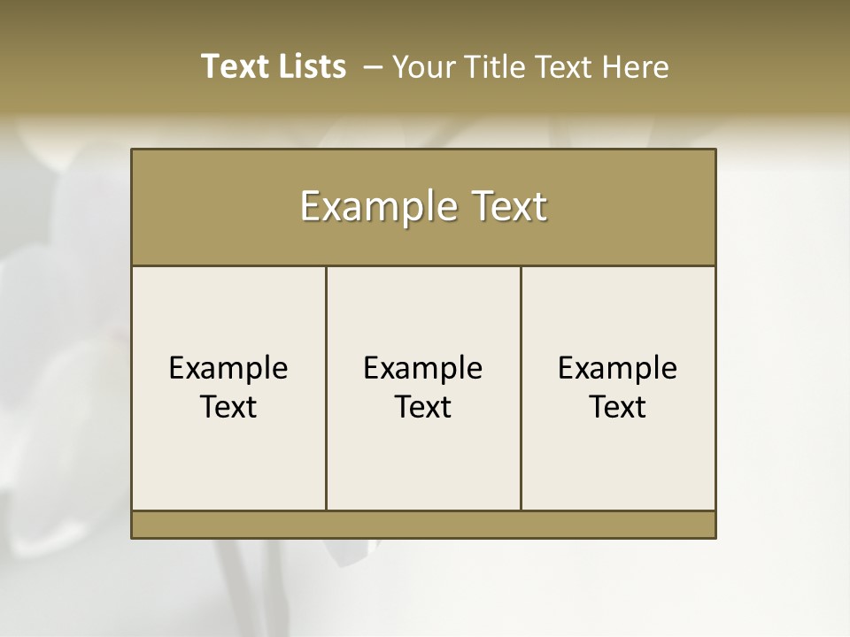 Fairgrounds Fairground Ride Size PowerPoint Template