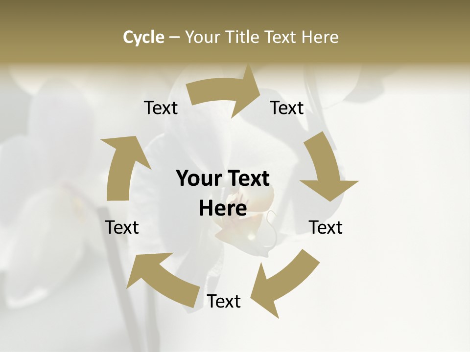 Fairgrounds Fairground Ride Size PowerPoint Template