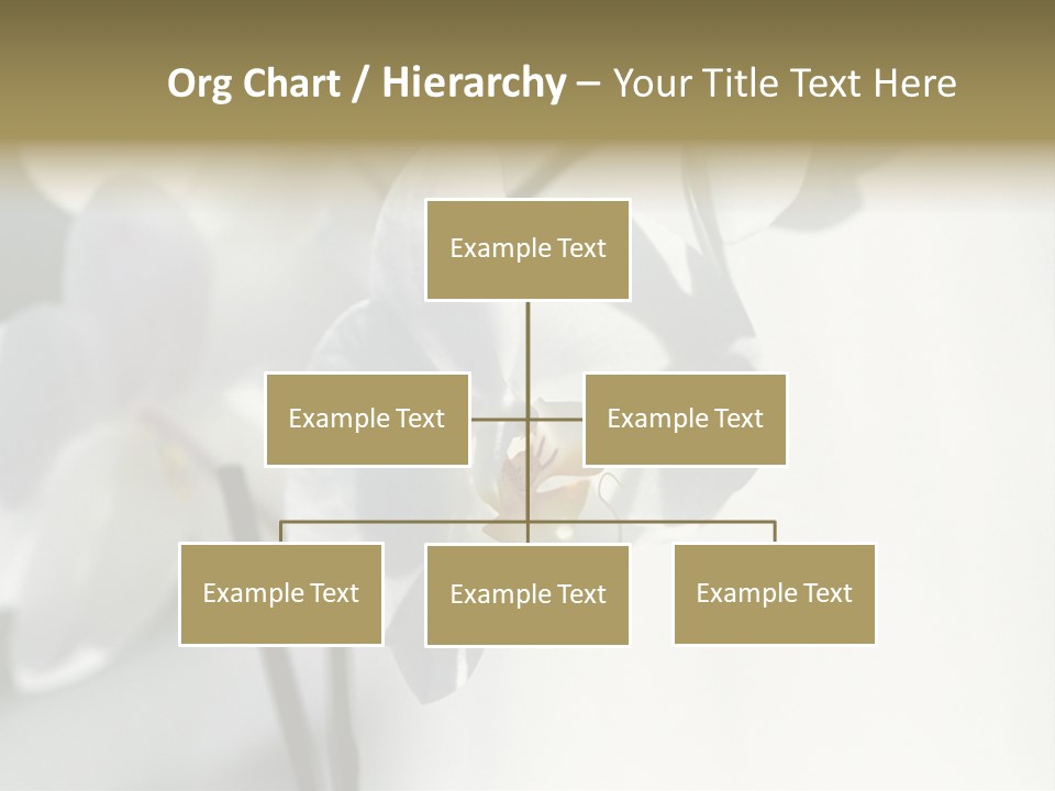 Fairgrounds Fairground Ride Size PowerPoint Template