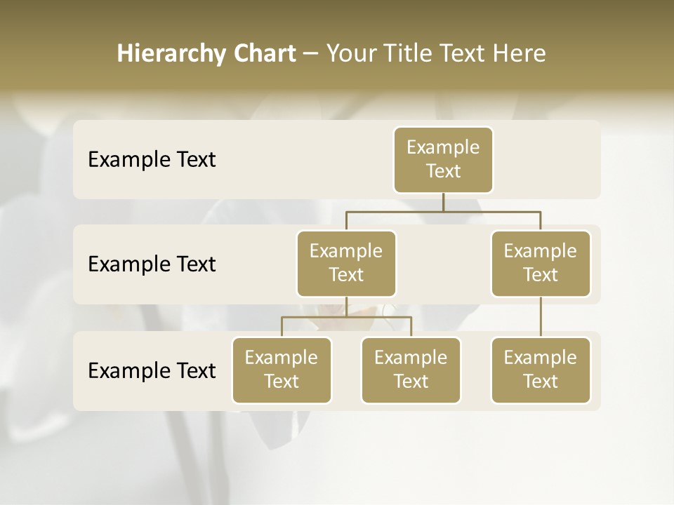 Fairgrounds Fairground Ride Size PowerPoint Template