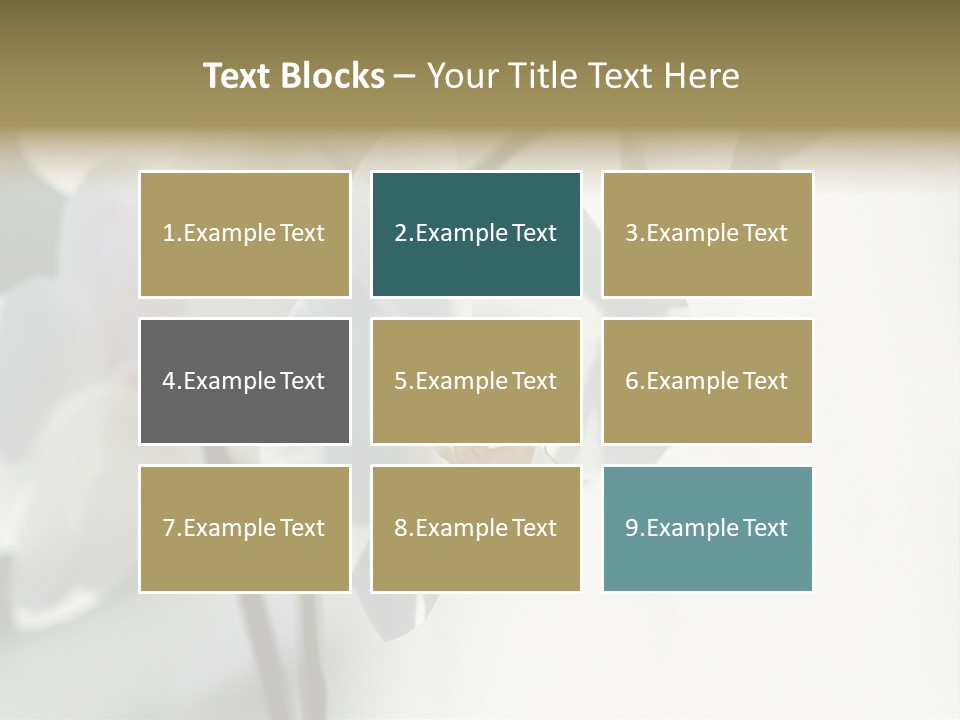 Fairgrounds Fairground Ride Size PowerPoint Template