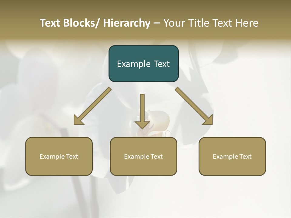 Fairgrounds Fairground Ride Size PowerPoint Template