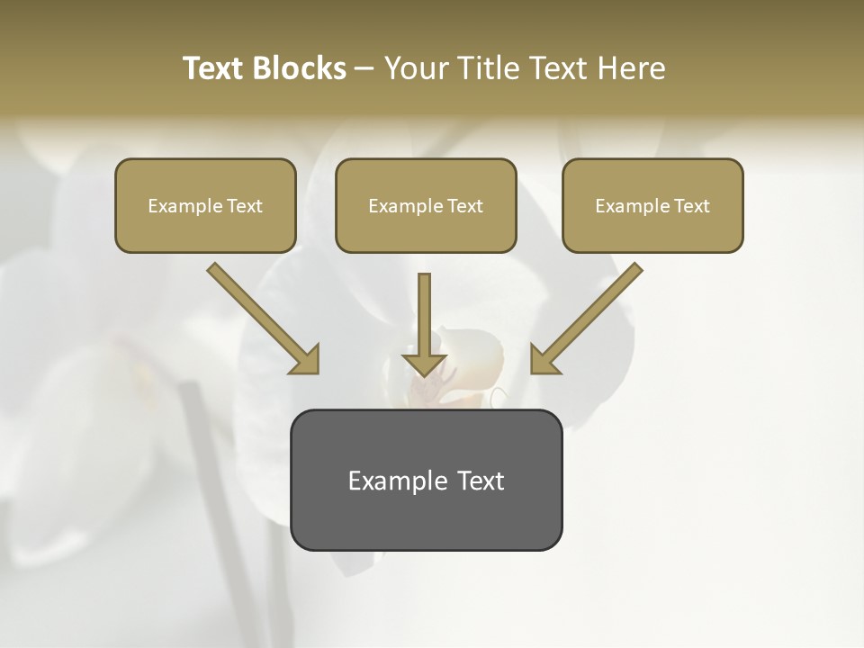 Fairgrounds Fairground Ride Size PowerPoint Template