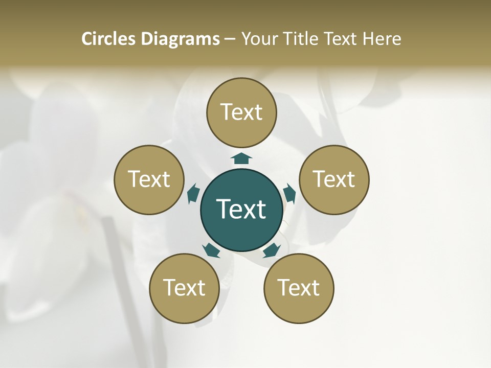 Fairgrounds Fairground Ride Size PowerPoint Template