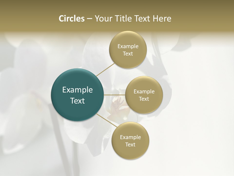 Fairgrounds Fairground Ride Size PowerPoint Template