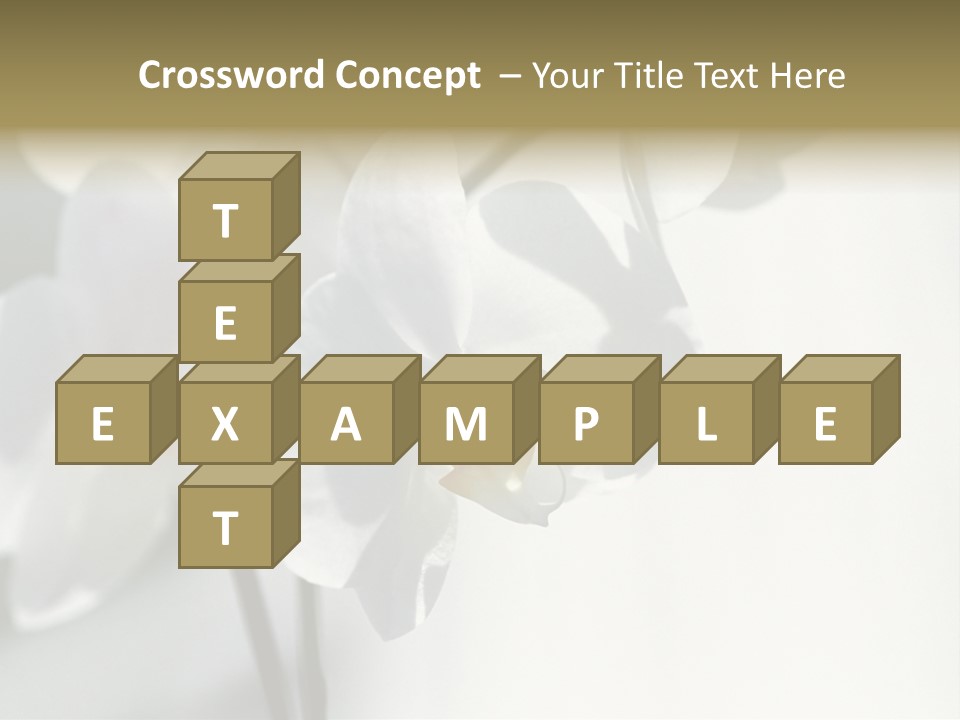 Fairgrounds Fairground Ride Size PowerPoint Template