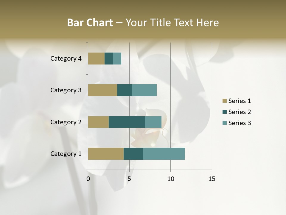 Fairgrounds Fairground Ride Size PowerPoint Template