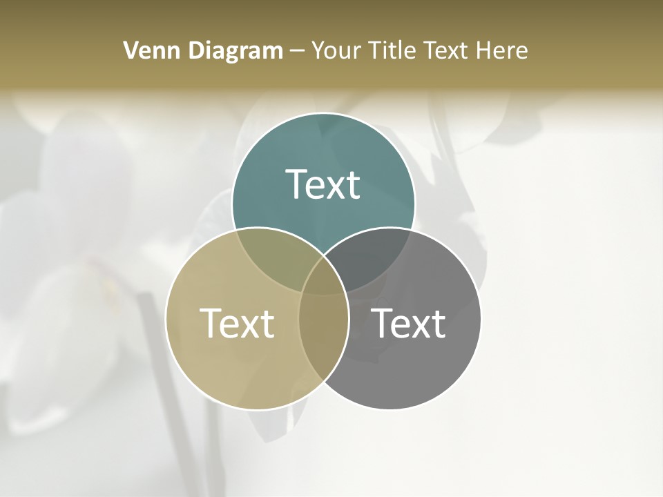 Fairgrounds Fairground Ride Size PowerPoint Template