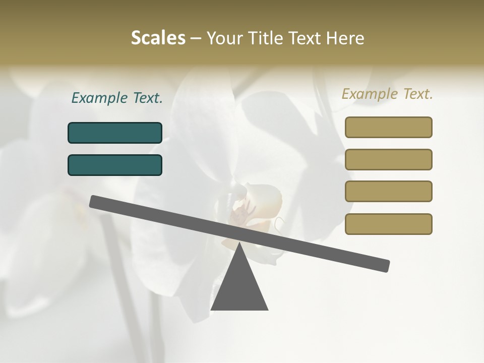 Fairgrounds Fairground Ride Size PowerPoint Template