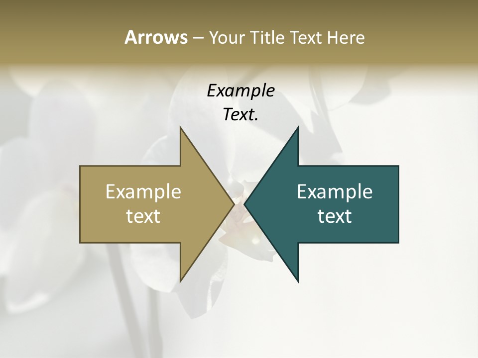 Fairgrounds Fairground Ride Size PowerPoint Template