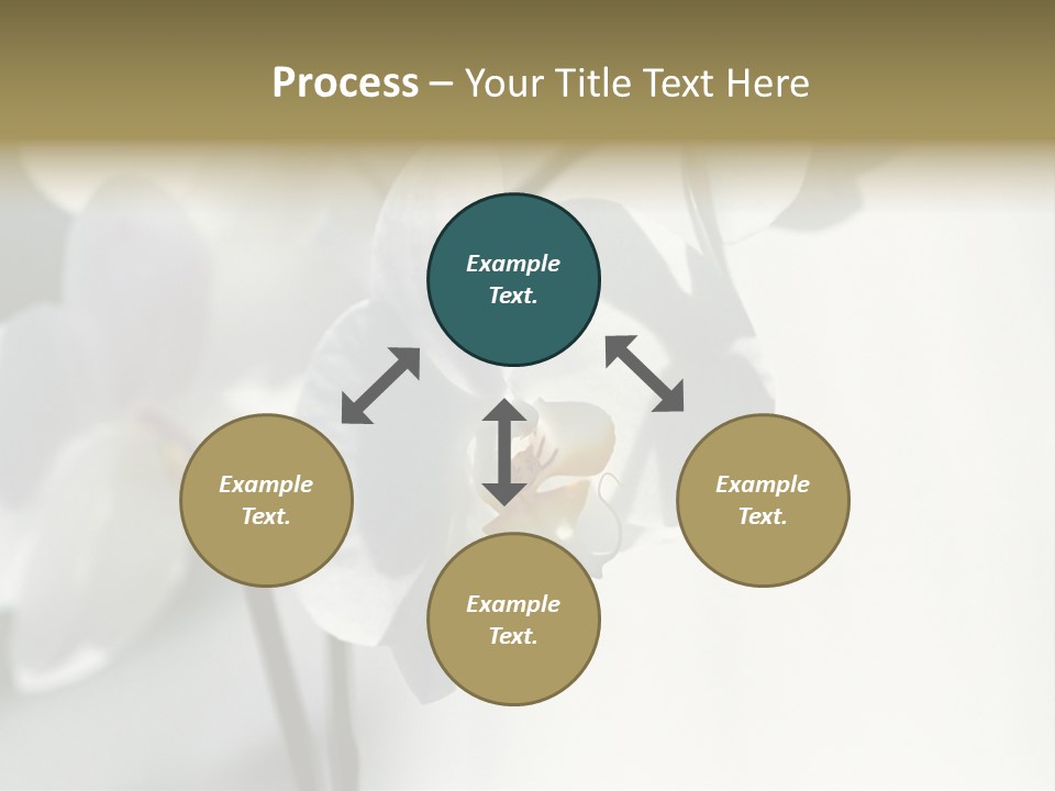 Fairgrounds Fairground Ride Size PowerPoint Template