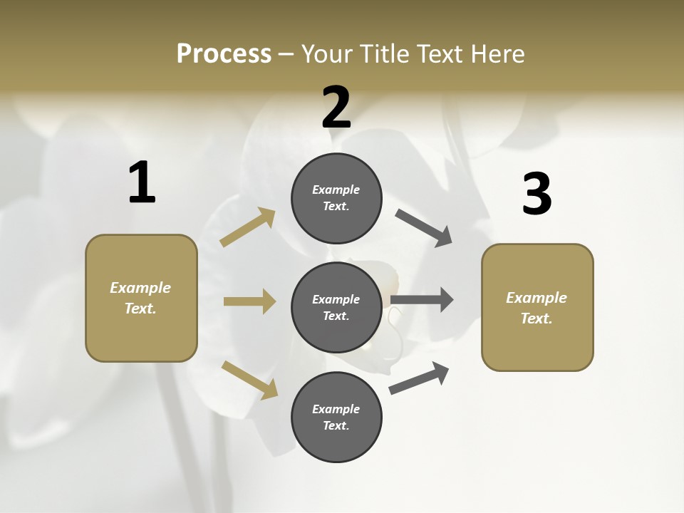 Fairgrounds Fairground Ride Size PowerPoint Template