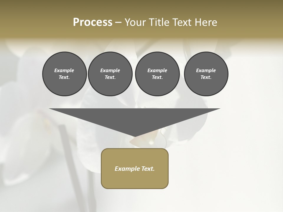 Fairgrounds Fairground Ride Size PowerPoint Template