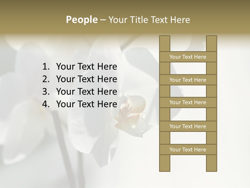 Fairgrounds Fairground Ride Size PowerPoint Template