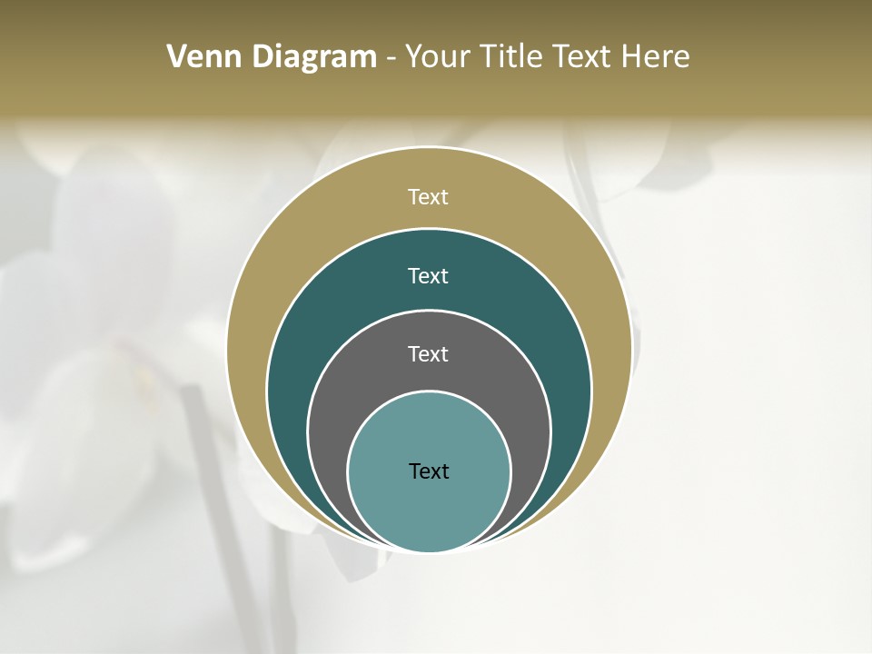 Fairgrounds Fairground Ride Size PowerPoint Template