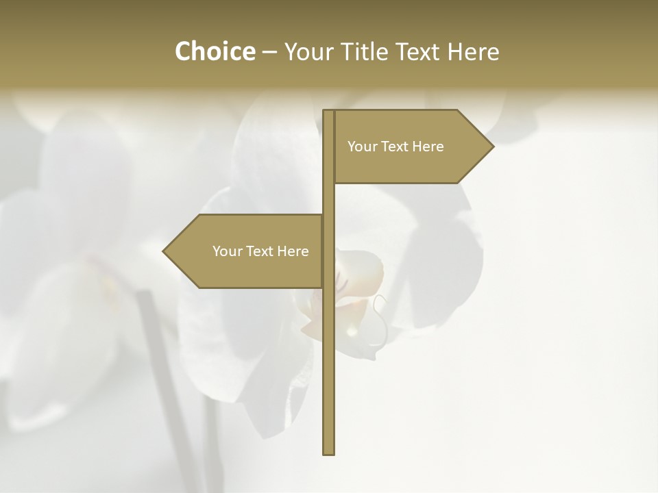 Fairgrounds Fairground Ride Size PowerPoint Template