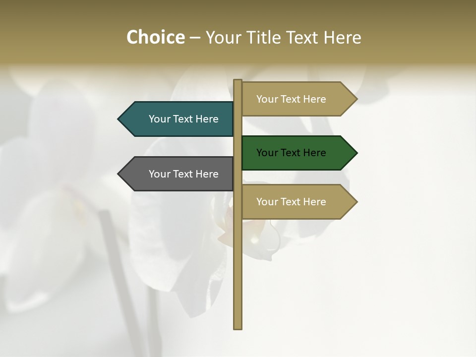 Fairgrounds Fairground Ride Size PowerPoint Template