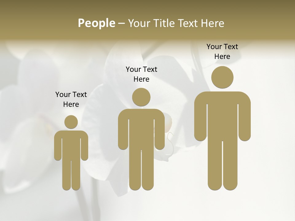 Fairgrounds Fairground Ride Size PowerPoint Template