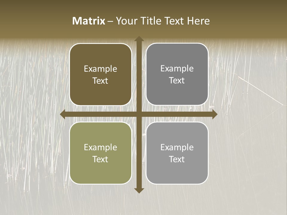 Fairgrounds Size Enjoyment PowerPoint Template